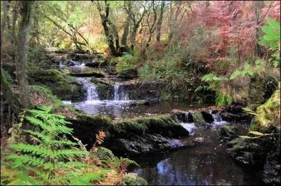 A quelle fort est lie la lgende arthurienne, o vous pourrez peut-tre apercevoir Merlin et les fes Viviane et Morgane ?
