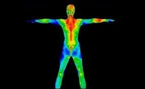 Jusqu' quelle temprature peut descendre le corps de la marmotte en hibernation ?