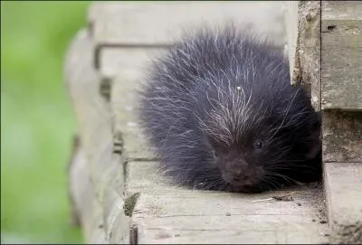 Etes-vous certain de le reconnatre ?