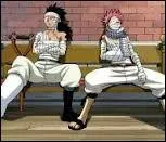 Fairy Tail - Qui sont les vrais parents de Natsu ?