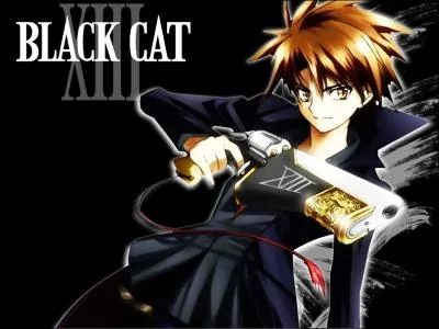Black Cat - Qui est le personnage principal ? 