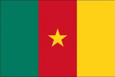  quel pays appartient ce drapeau ?