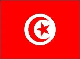  quel pays appartient ce drapeau ?