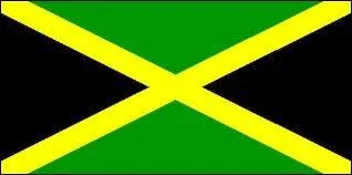  quel pays appartient ce drapeau ?