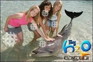 Combien y a-t-il de saisons ?