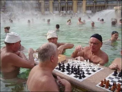 Grande question pour terminer : le jeu d'checs est-il un sport ?
