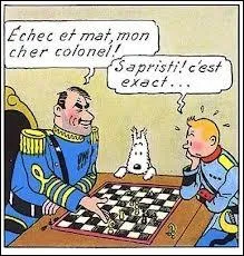 Que signifie chec et mat ?