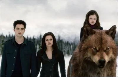 Que doit faire Jacob si a tourne mal ?