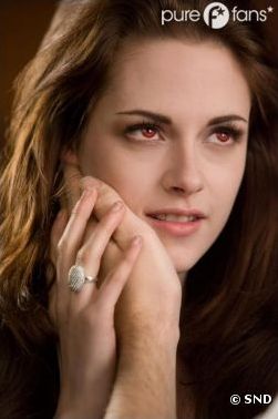 Quiz Twilight