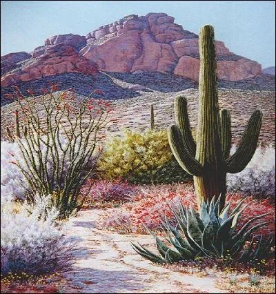 Kerry Kinman choisit les déserts du sud-ouest au printemps afin de capturer la beauté fugace des fleurs sauvages pour les offrir à tous. Sa pratique n'a rien de barbare malgré le nom.