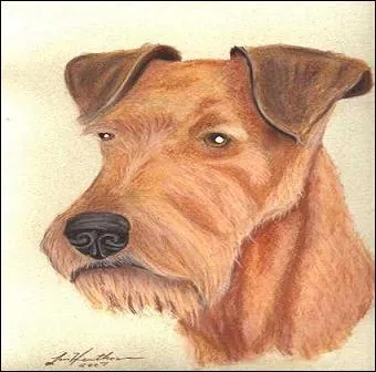 Linda Henthorn, artiste américaine, dont les sujets favoris sont les chiens. Quelle race reconnaissez-vous ?