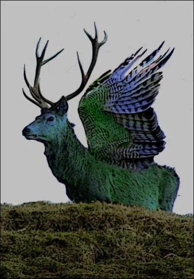 Comment s'appelle le crateur du pritio, animal fictif mi-oiseau et mi-cerf qui serait responsable de la chute de Rome ?