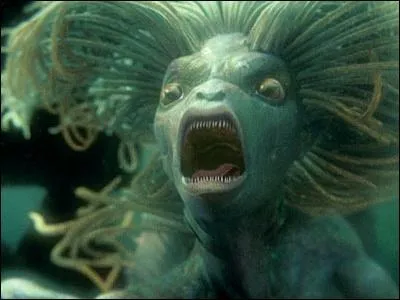 Qui est le crateur du strangulot, crature aquatique que l'on rencontre dans l'univers de Harry Potter ?
