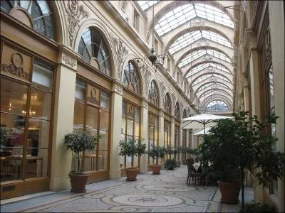 Ouverte au public en 1826, ce lieu est l'un des fleurons des passages couverts qui se multiplient au dbut du XIXme sicle.