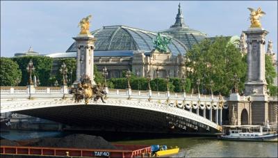 Caractéristique de l'art décoratif de la IIIème République, ce pont est une arche métallique de 109 mètres de long. Il a été le premier à franchir la Seine d'un seul jet.