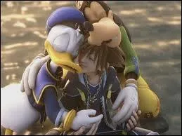 Sora veut tuer Donald