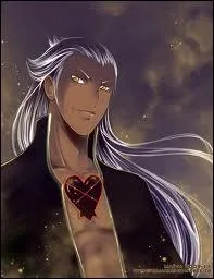Ansem est un sans-coeur