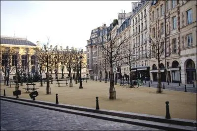 Amnage en 1607  l'emplacement du jardin du palais de la Cit, cette place royale a t baptise en l'honneur du dauphin, futur roi Louis XIII.
