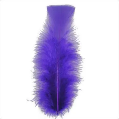 La plume violette, elle, virevolte au-dessus des minarets d'un des rares pays  porter cette couleur sur son drapeau !