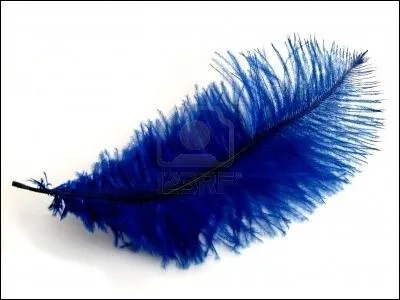 Dans un souffle lger, la plume plane au-dessus de ce casino, le Montbleu, aux environs du  Lake Tahoe  !