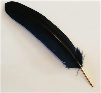 Porte par un vent africain, la plume noire plane dsormais au-dessus du plus grand terril du monde, celui de Lumbumbashi !