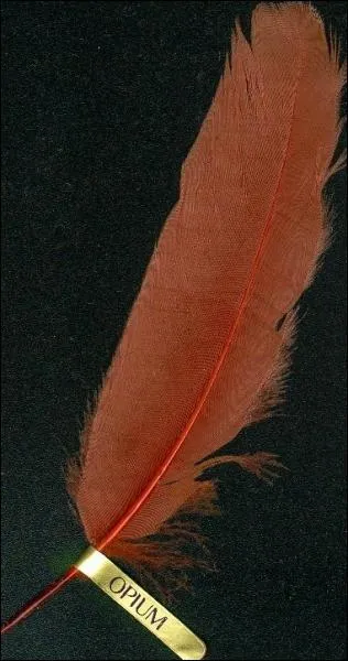 Berce par des chants montagnards, la plume marron survole cette le dont la chtaigne a rendu la gastronomie apprcie par les  continentaux  !