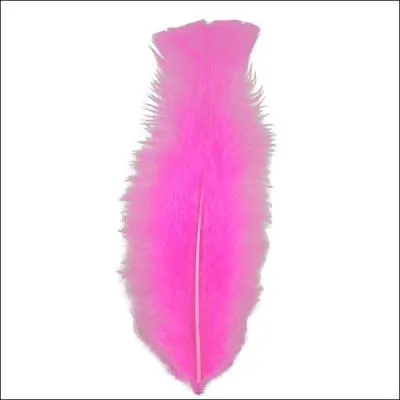 La plume rose, quant  elle, survole un terrain de rugby, plus bas, quinze gaillards portent sa couleur !