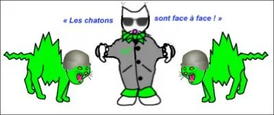 Combien y a-t-il d'axes de symtrie dans un rectangle ?