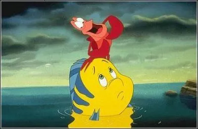 Ce sont les amis de...