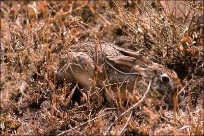 Rien ne sert de courir, il faut partir  point, oui, mais d'o ?