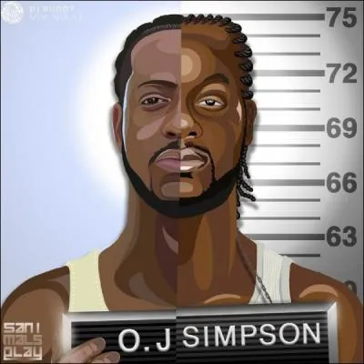  quelle peine, le joueur de football amricain O. J. Simpson fut-il condamn en 2008 pour enlvement et vol  main arme longtemps aprs l'affaire du meurtre de son ex-pouse et de son compagnon ?