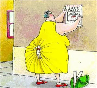 Combien d'animaux domestiques sont abandonns chaque minute en France ?