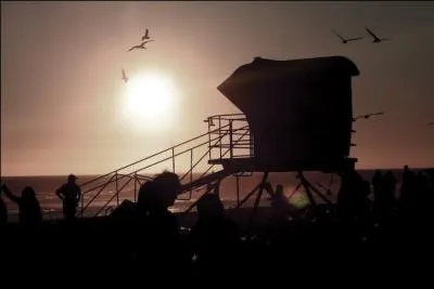 Comment appelle-t-on la pche de ce poisson, le maigre, dans l'estuaire de la Gironde ?