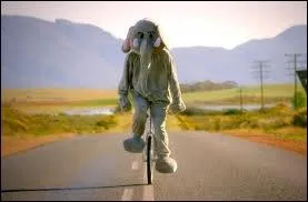 Qui chante (a chant)  Paradise  ?