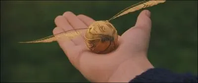 Avec quelle partie de son corps Harry attrape-t-il le Vif d'or lors du match de quidditch ?