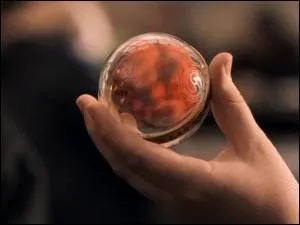 Quel est cet objet, appartenant  Neville Londubat ?