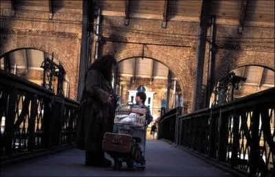 Lors de cette scne, que dit Hagrid  Harry ?