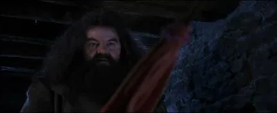 Lors de cette scne,  qui Hagrid s'adresse-t-il ?