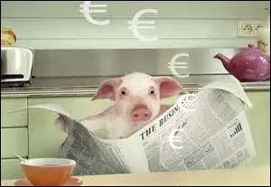 Un proverbe japonais dit que  le cochon est large de face mais troit de dos . Quelle signification cela a-t-il ?