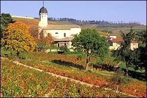 Si je vous propose un vin de Chiroubles, AOC, que vais-je vous faire boire en accompagnement du jambon de Bayonne ?