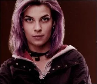 Que fait toujours tomber Nymphadora Tonks quand elle se rend au 12, Square Grimmaurd ?