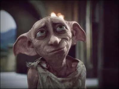 Qu'a-t-on vol  Harry pour la deuxime preuve du Tournoi des trois sorciers, selon Dobby ?