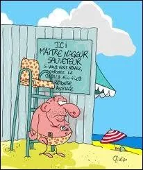 Les matres nageurs ...