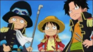 Quels sont les 2 frres de Luffy ?