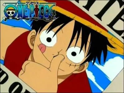 Qui aime Luffy ?