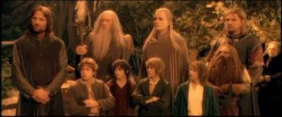 Film fantastique amricain sorti en 2001 de Peter Jackson avec Elijah Wood, Viggo Mortensen, Ian McKellen et Orlando Bloom...