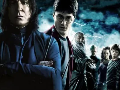 Saga fantastique adapte du roman de J. K. Rowling avec Daniel Radcliffe, Rupert Grint et Emma Watson...