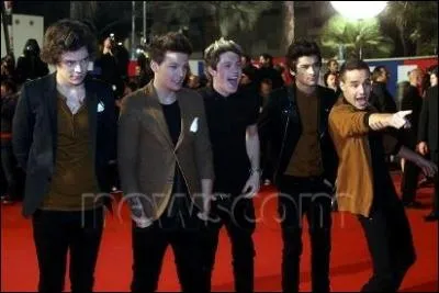 Qui a tir la langue  la camra lors de l'annonce du gagnant dans la catgorie groupe/duo international de l'anne aux NRJ Music Awards 2013 ?