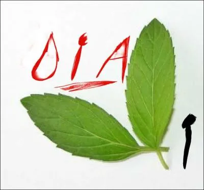 En 2012, quelle personne italienne a invent un dispositif permettant de dessaler l'eau de mer grce  la chaleur du Soleil ?