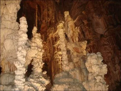 En Lozre, prs du village de Hures-la-Parade, le plateau calcaire abrite sous sa surface une fort de pierre considre comme une des plus belles merveilles souterraines.